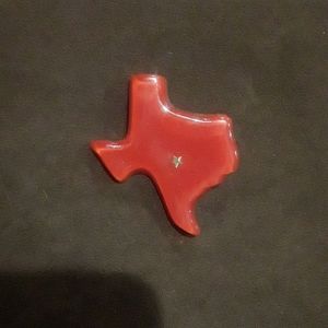 Texas acrylic brooch